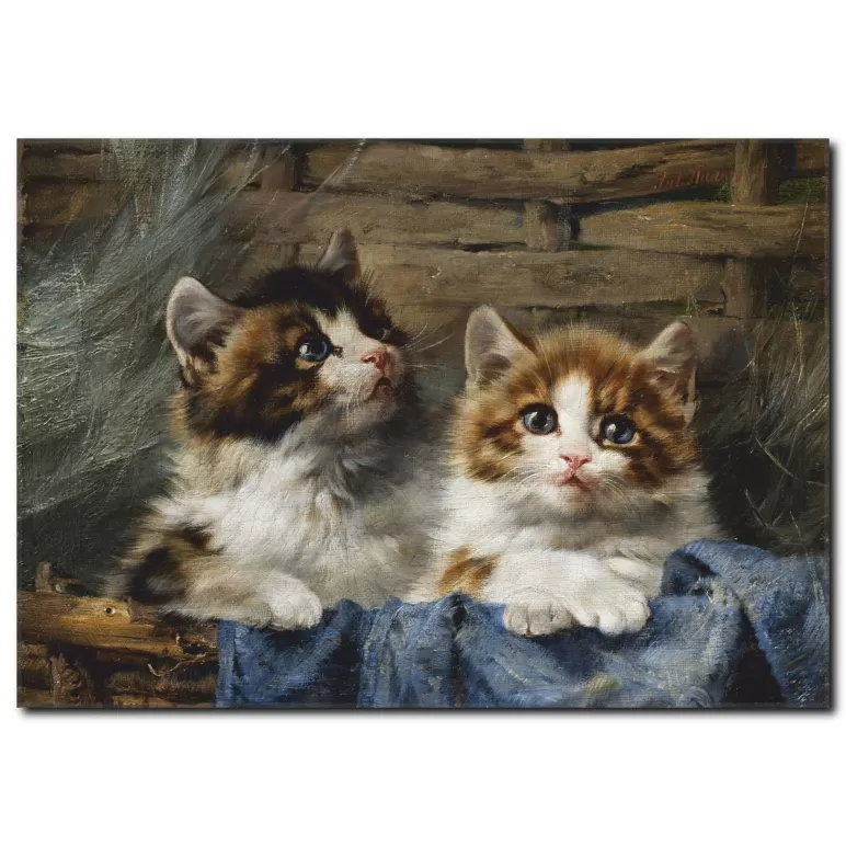 Sevimli Kedicikler Yağlı Boya Tablo