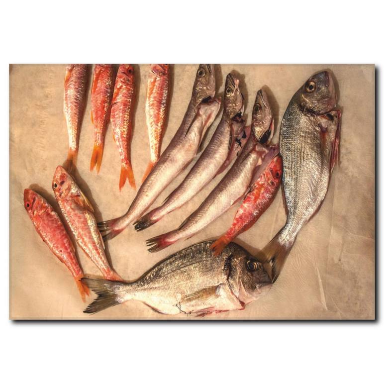 Balık Çeşitleri Görselli Kanvas Tablo