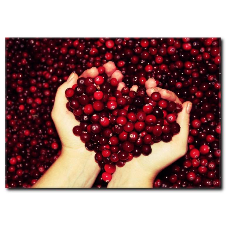 Avuç Dolusu Kızılcık Duvar Tablosu