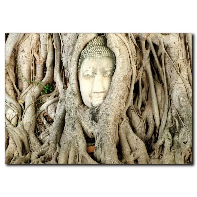 Ağaçta Yoga Yapan Rahip Figür Kanvas Tablo